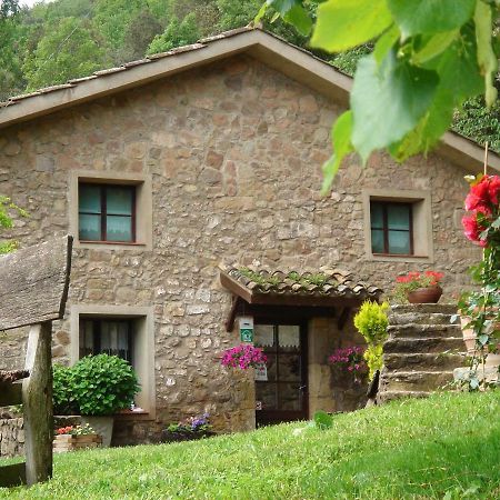 Mas El Bosquet Vila Joanetes Exterior foto